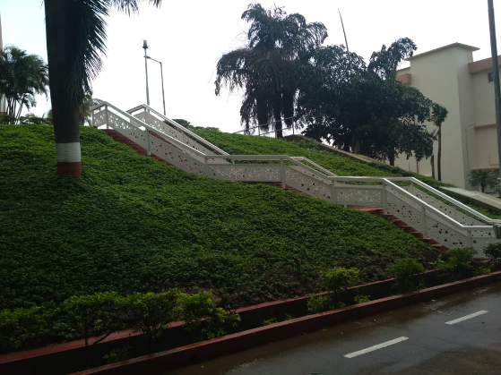 stair case jali